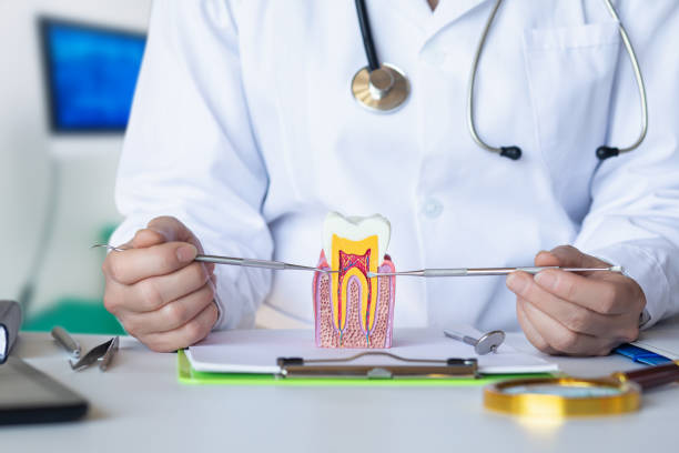 Best Tooth Pain Emergency Relief  in Rochelle, IL